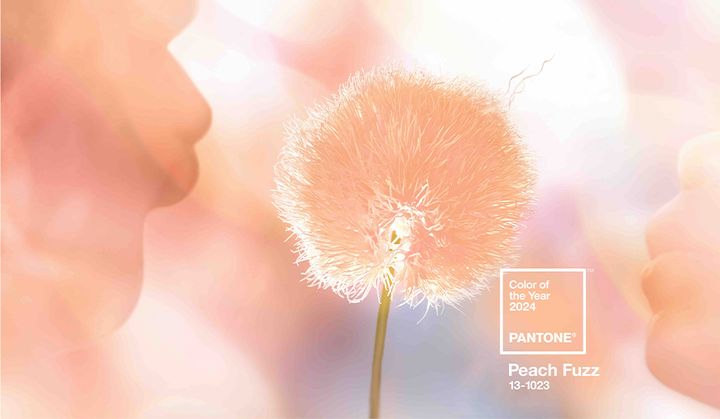 Институт цвета Pantone объявил главный цвет 2024 года – персиковый пух